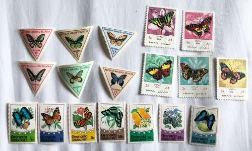Butterflies