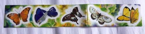 Samoa shaped butterflies **