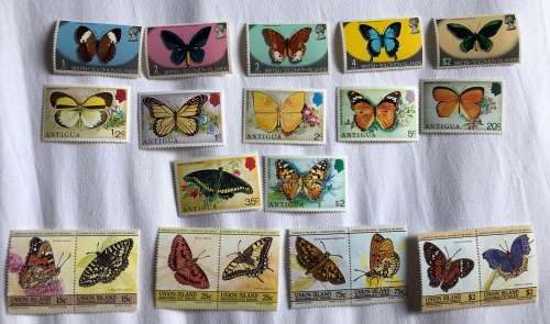 Butterflies **