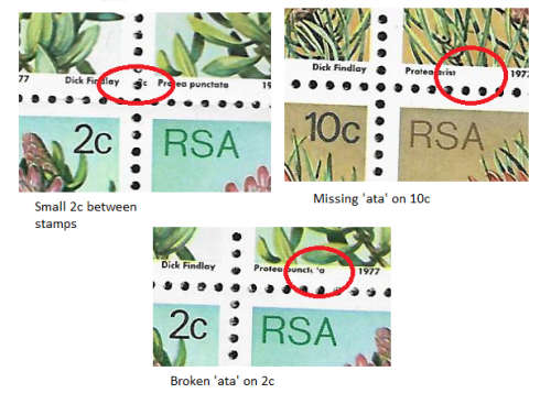 3 RSA Varieties on Proteas