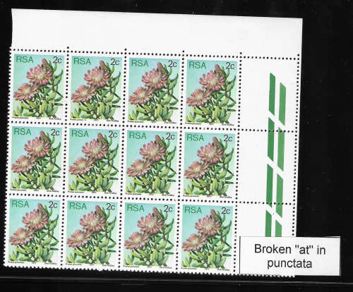 3 RSA Varieties on Proteas
