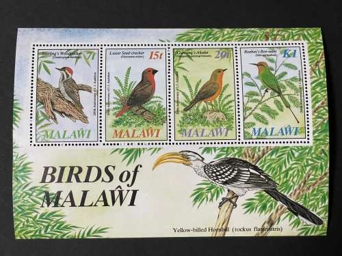 Malawi birds 1985 audibon **cv 8 pounds