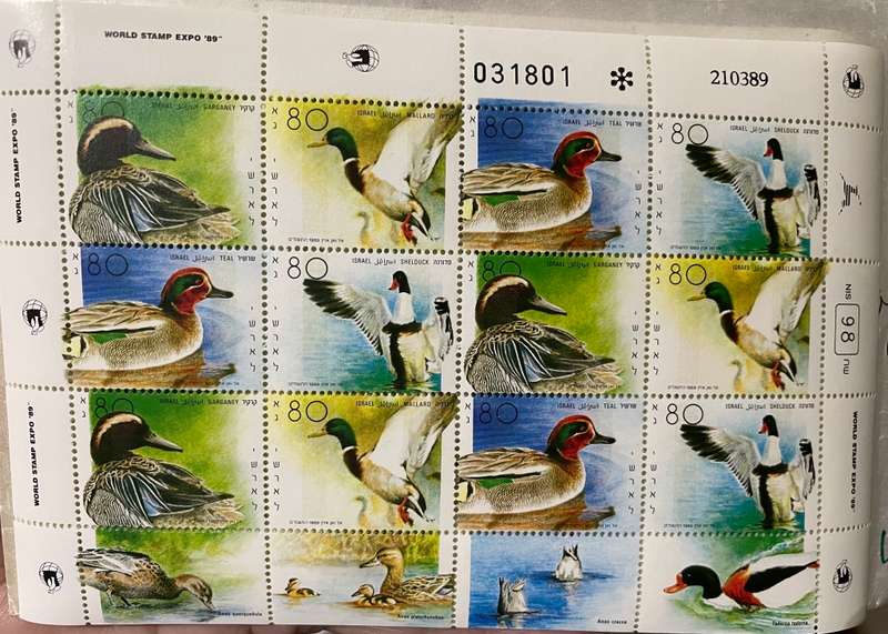 Israel ducks 1989  m/sheet **