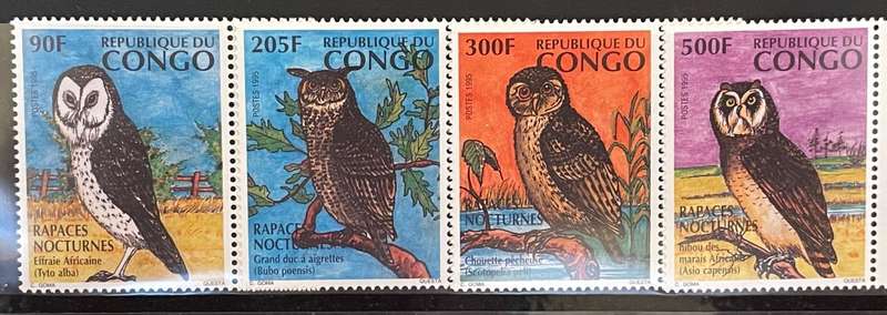 Congo owls 1996 **