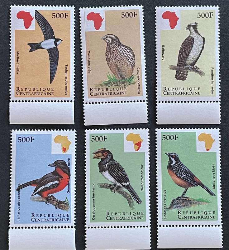 Central african republic birds of africa