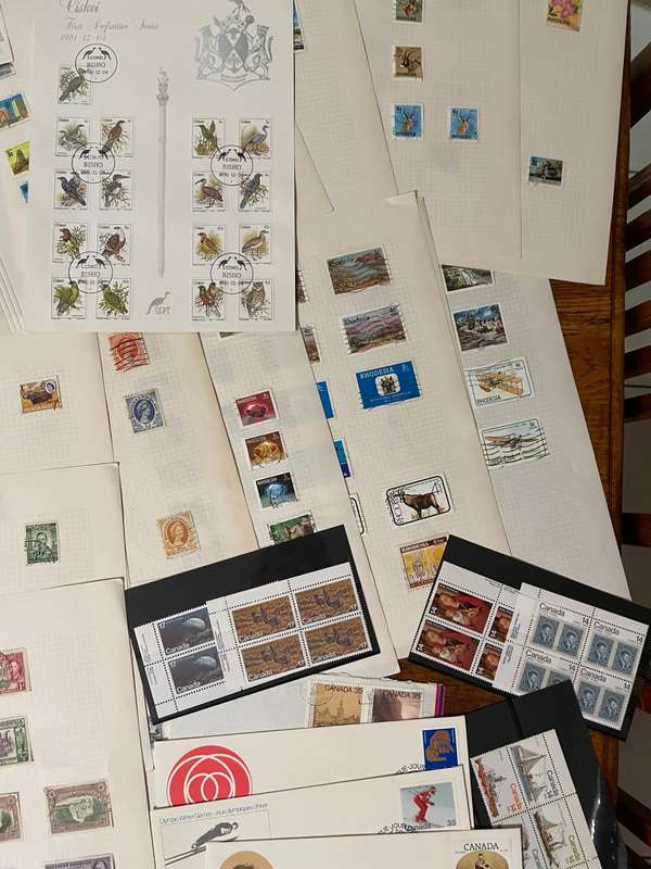 Estate lot - remainders