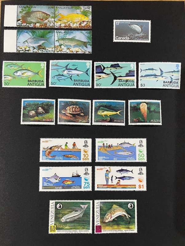 Fish sets**