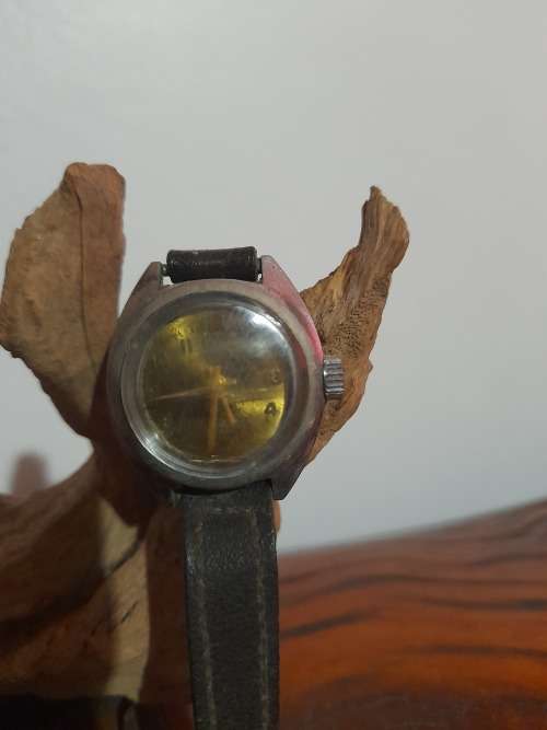 Vintage Watch: Rottery
