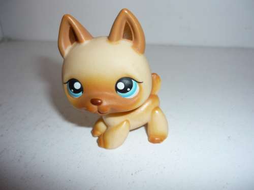 THE LITTLEST PETSHOP