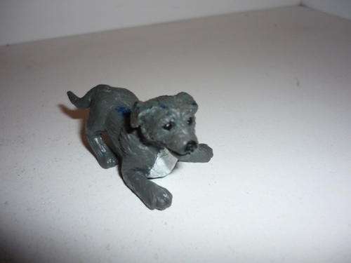 PUPPY IN MY POCKET