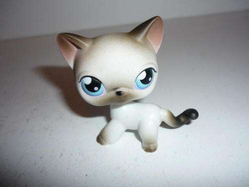 LITTLEST PET