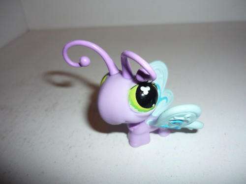 LITLEST  PET