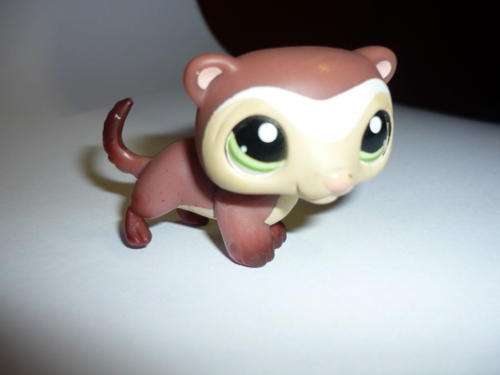 THE LITTLEST PET SHOP