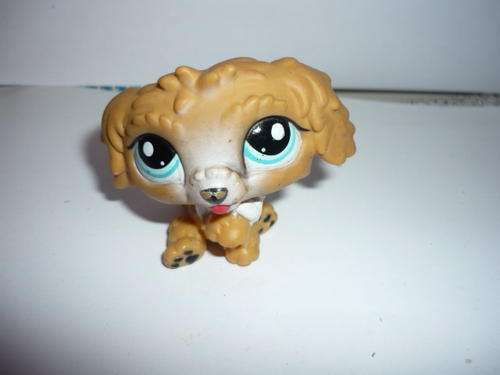 MY LITTLEST PET SHOP
