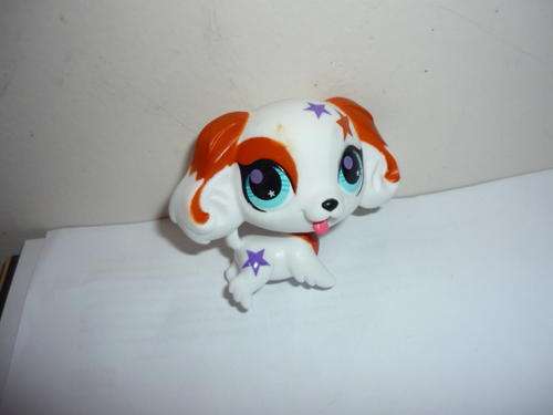 THE LITTLEST PET SHOP