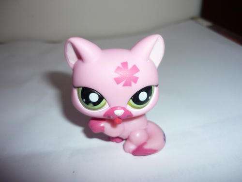 THE LITTLEST PET SHOP