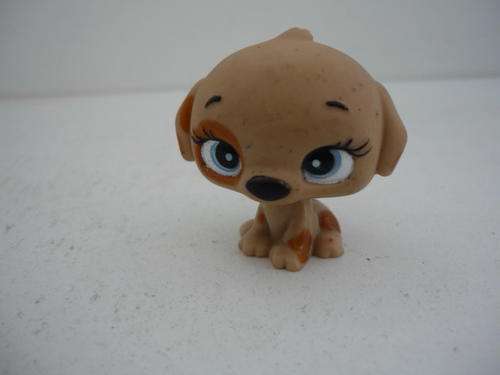 THE LITTLEST PET