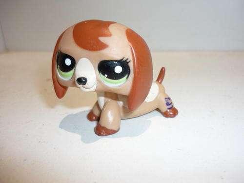 THE LITTLEST PETSHOP