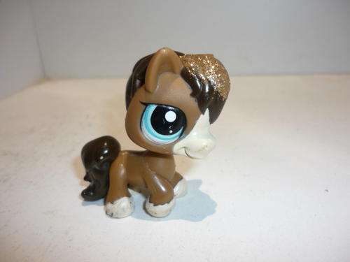 THE LITTLEST PETSHOP