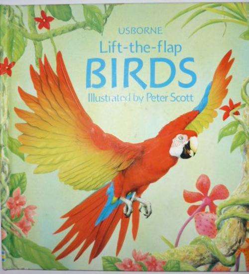 BIRDS-LIFT-THE- FLAP BY PETER SCOTT