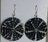 Stunning Shell Earrings - Sterling Silver