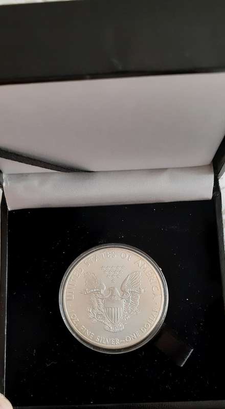 2012 - 1 OZ SILVER AMERICAN 1 DOLLAR COIN IN CAPSULE AND CASE