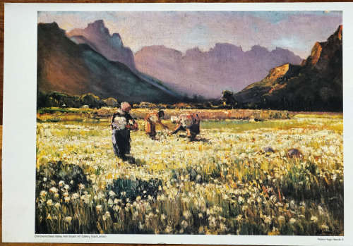 Pieter Hugo Naude Chincherinchees Valley. Image size 23,70-32,50 cm on the paper
