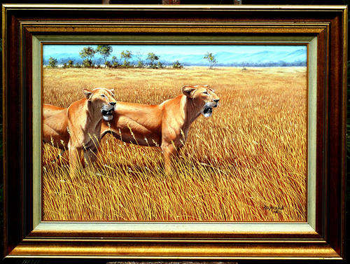 Original oil painting on on the canvas Rob Macintosh oil_100 images size 52-77cm