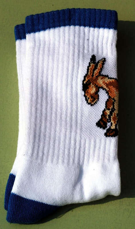 Sport socks Anklet_White-Blue Frans Claerhout Donkey. Size 28-31