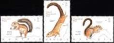 Namibie / Namibia 2020 - EEKHOORN'S / SQUIRRELS set (3) MNH - Posvars - Postfris - FAUNA