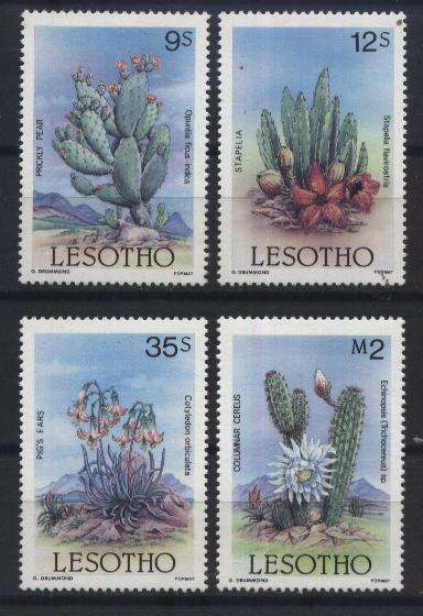Lesotho - Flora - CACTUS set complete (4) !!! KAKTUSSE - VETPLANTE stel !!! U/M !!! Posvars !!!
