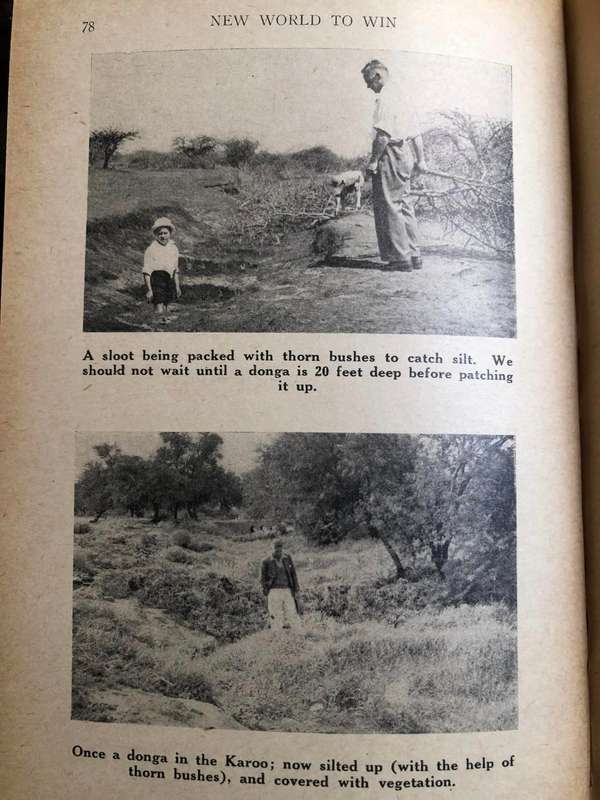 New World to Win by CJJ van Rensburg and EM Palmer - 1946 First Edition