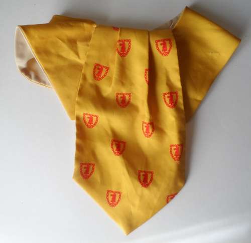 SA Army Battle School Cravat