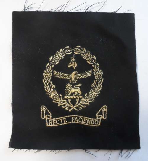 S.A.D.F. Blazer Badge