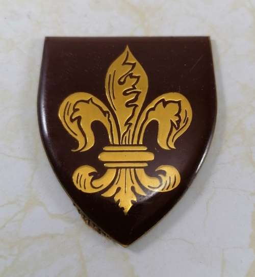 SADF Era Shoulder Flash