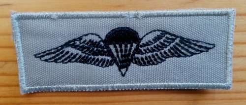 S.A. Basic Paratrooper Wing