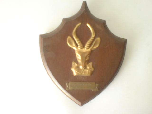 SAI plaque