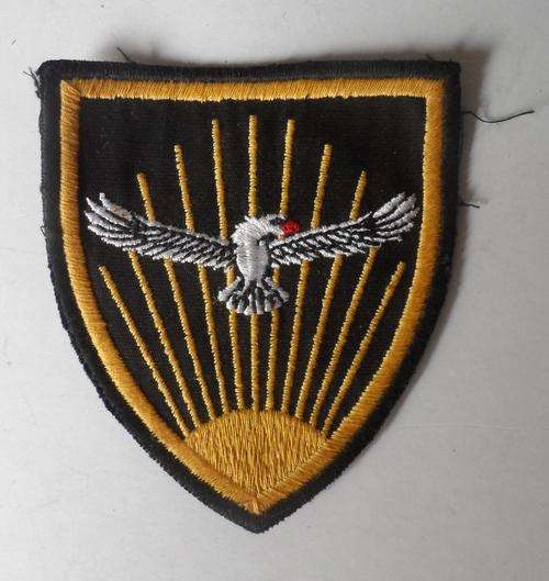 SA Air Force Gymnasium Patch