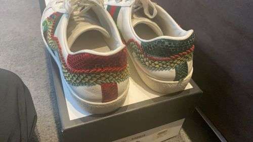 Gucci Dragon Aces UK9.5 *Origional* / Late Entry
