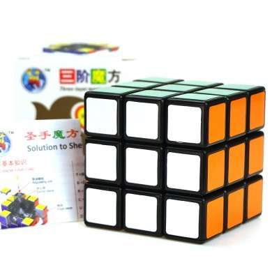 Shengshou Cube Portable IQ Training Game