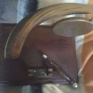Gong and Horn display Size 28x22x30cm