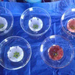 Glasses or dessert bowls size 12x12x5cm Qty is 5 No chips or cracks