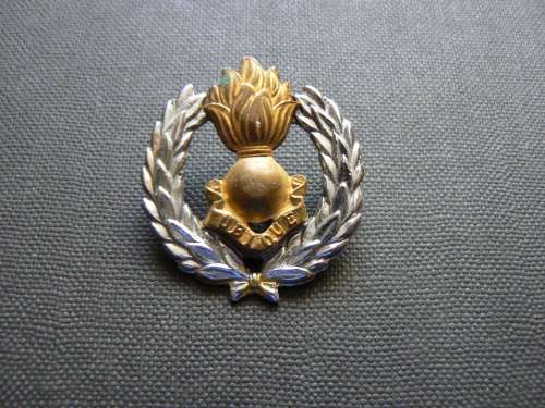 SA Engineers Badge (Genie)