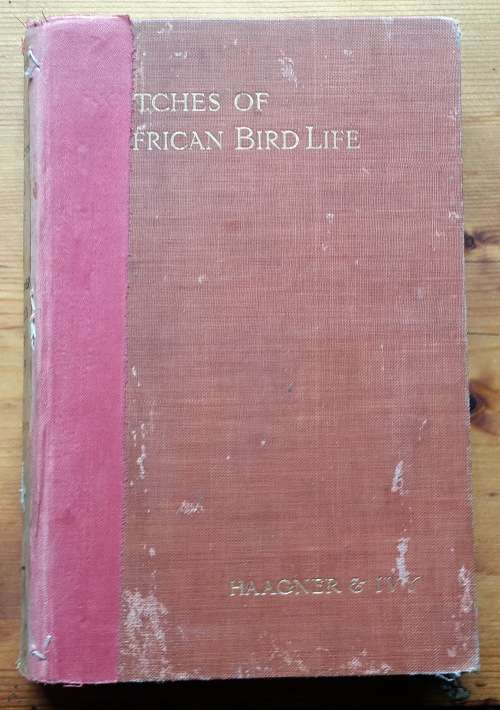 SKETCHES of SOUTH AFRICAN BIRD-LIFE by Alwin Haagner & Robert H Ivy (1st Print 1908)