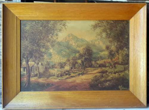 Vintage - Charl van Niekerk Print -- No 1
