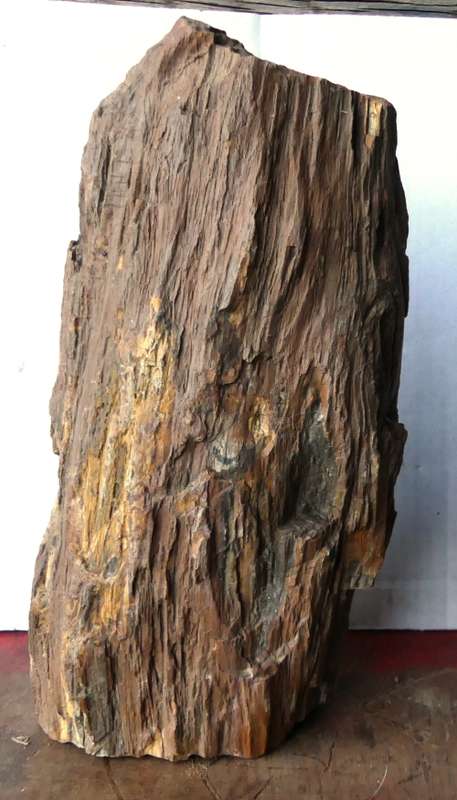 Large Heavy Piece of  Fossilized Tree  / Versteende Boom (4)   3.9 kg --