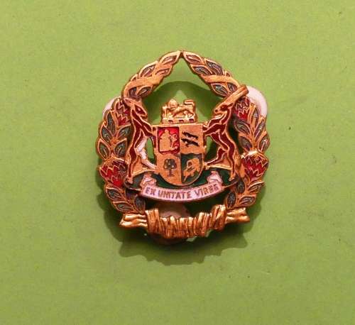 Ex Unitate Vires Cap Badge (Multicolored)