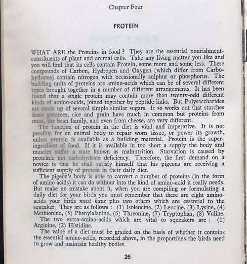 WINNING DIETRY FOR RACING PIGEONS by Old Hand