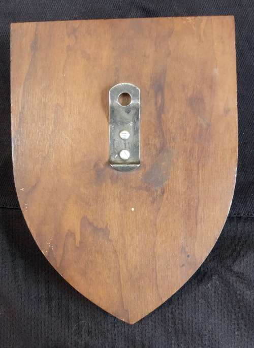 SADF .. 1 SSB / SDB .. METAL PRESENTATION FLASH mounted on Wooden Plaque