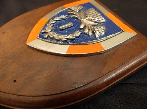 SADF .. 1 SSB / SDB .. METAL PRESENTATION FLASH mounted on Wooden Plaque